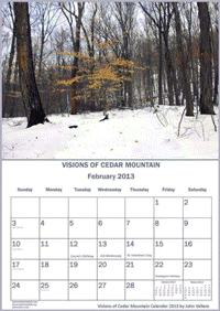 www.savecedarmountainvisionsofcedarmountain2013formac
