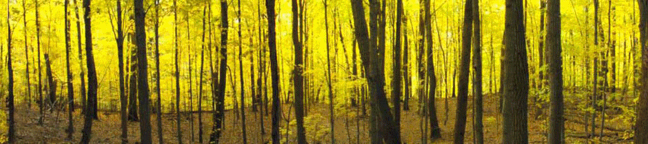 savecedarmountain.comwebgif1